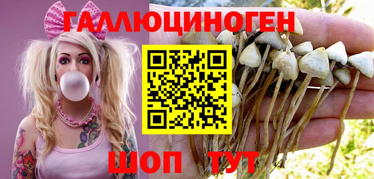 Симферополь  Псилоцибиновые грибы ЛСД  Вход с VPN  дарнет шоп  Псилоцибиновые грибы MAGIC MUSHROOMS 